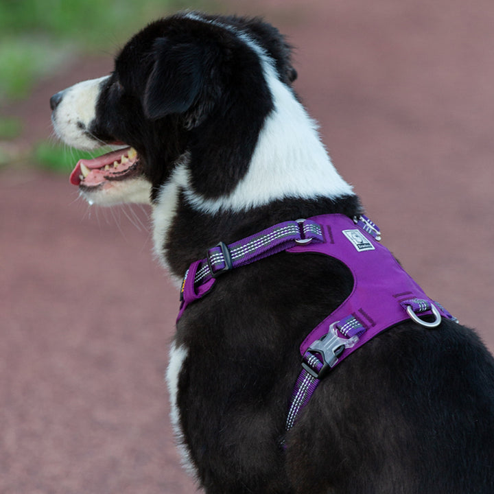 Lightweight 3M reflective Harness Purple 2XS - Pet Care > Dog Supplies