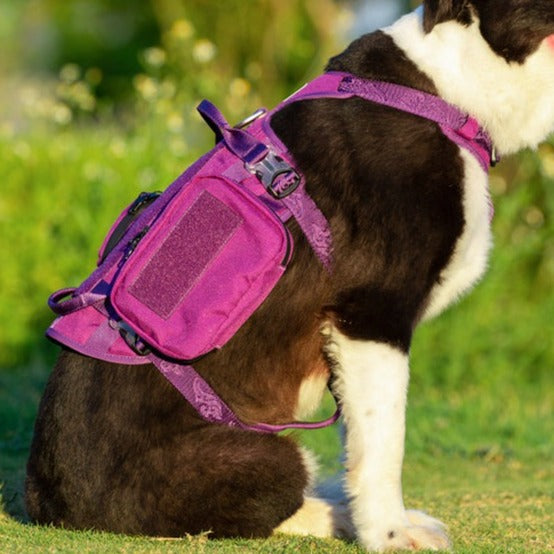 Whinhyepet Military Harness Purple M - Pet Care > Dog Supplies