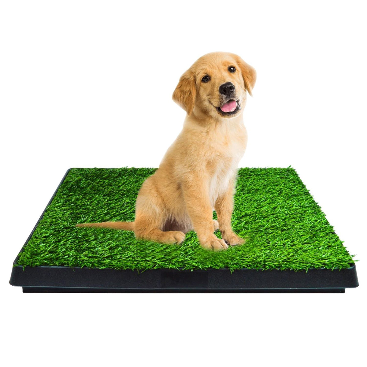 Floofi Pet Grass Training Potty PT-LM-109-FE / PT-LM-109-JL - Pet Care > Cleaning & Maintenance