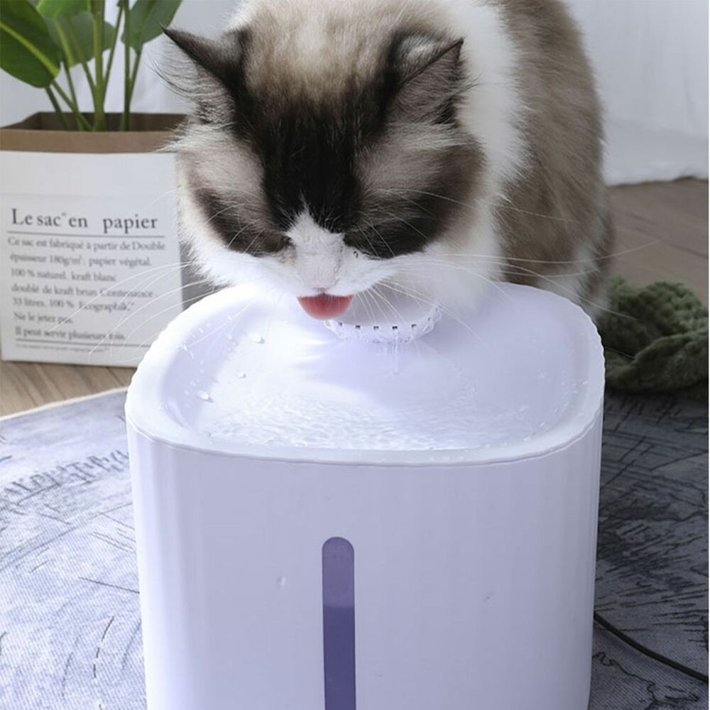 Floofi Pet Water Fountain Dispenser LED USB 3L PT-WD-103-ZM - Pet Care > Dog Supplies