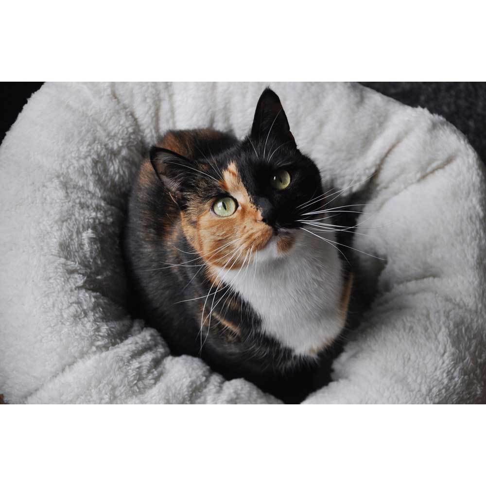 Soft Cat Bed Brown Suede - Warm Kitten Puppy Round Doughnut Donut Lambswool - Pet Care