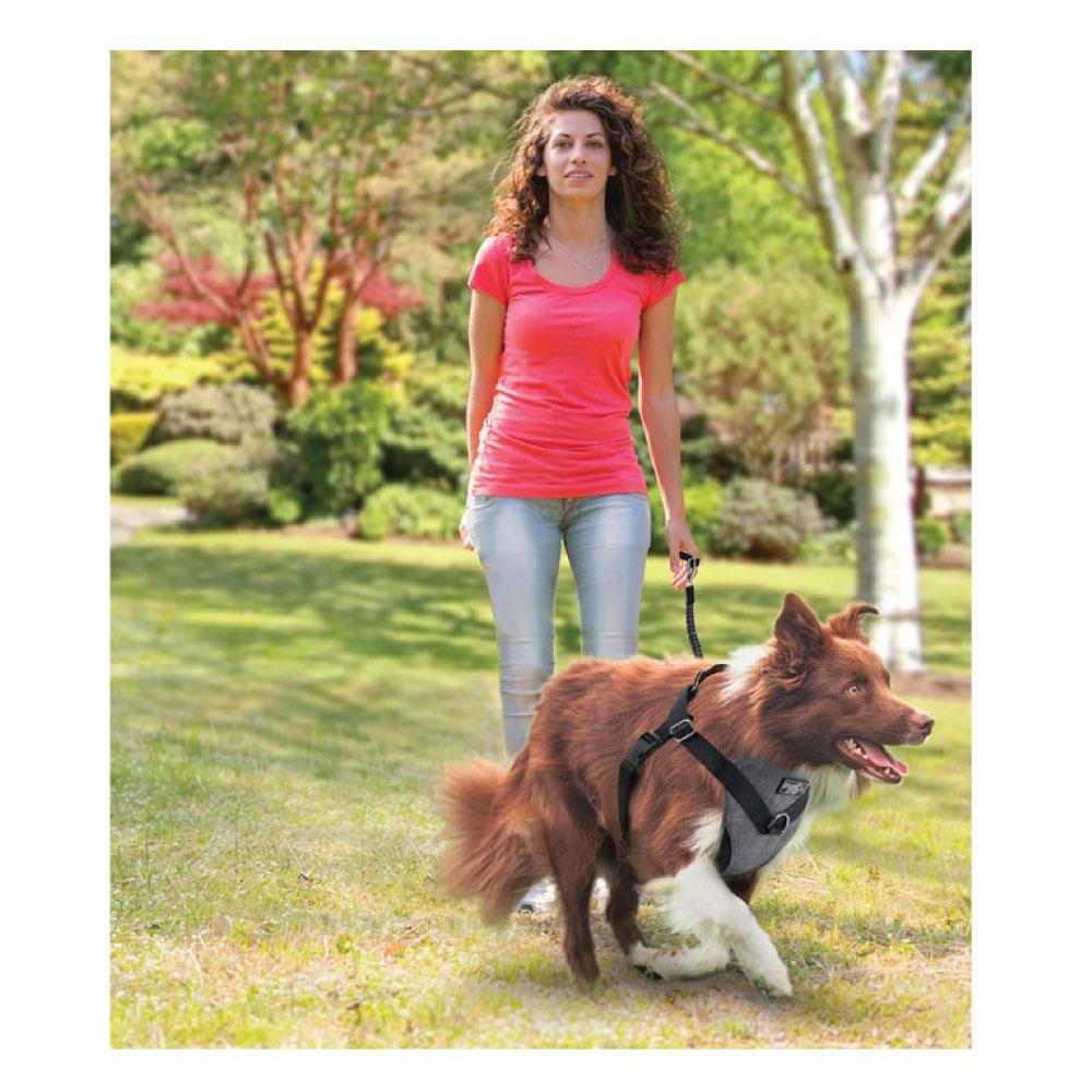 S Dog Harness 2 in 1 Combo - Car Travel Rides + Walks - No Pull Leash Seat Belt - Pet Care