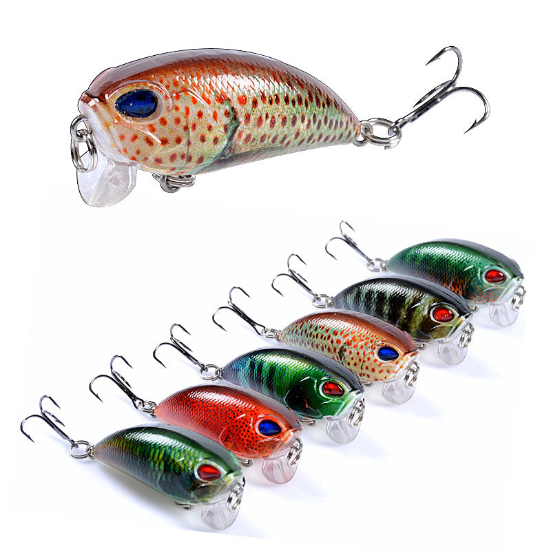 6x Popper Poppers 5.1cm Fishing Lure Lures Surface Tackle Fresh Saltwater - Outdoor > Fishing