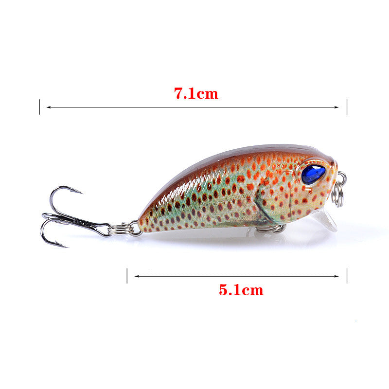 6x Popper Poppers 5.1cm Fishing Lure Lures Surface Tackle Fresh Saltwater - Outdoor > Fishing