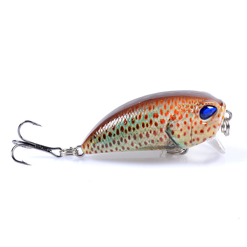 6x Popper Poppers 5.1cm Fishing Lure Lures Surface Tackle Fresh Saltwater - Outdoor > Fishing