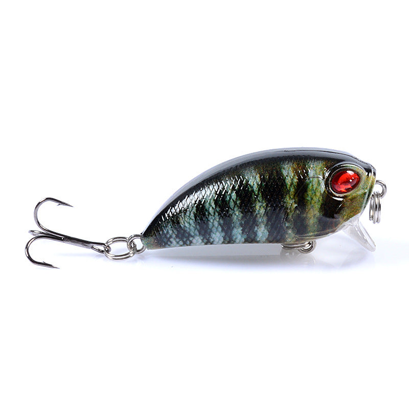 6x Popper Poppers 5.1cm Fishing Lure Lures Surface Tackle Fresh Saltwater - Outdoor > Fishing