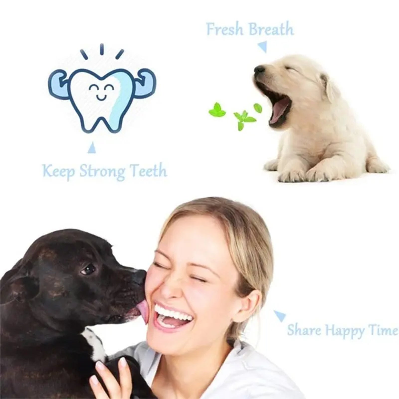 Pawfriends Pet Three-Head Multi-Angle Dog Cat Toothbrush Oral Cleaning Product Blue - Pet Care > Dog Supplies