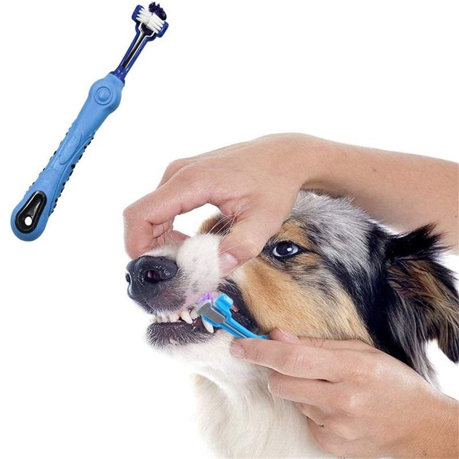 Pawfriends Pet Three-Head Multi-Angle Dog Cat Toothbrush Oral Cleaning Product Blue - Pet Care > Dog Supplies