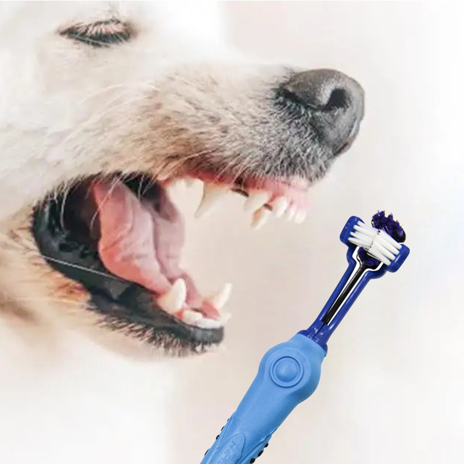 Pawfriends Pet Three-Head Multi-Angle Dog Cat Toothbrush Oral Cleaning Product Blue - Pet Care > Dog Supplies