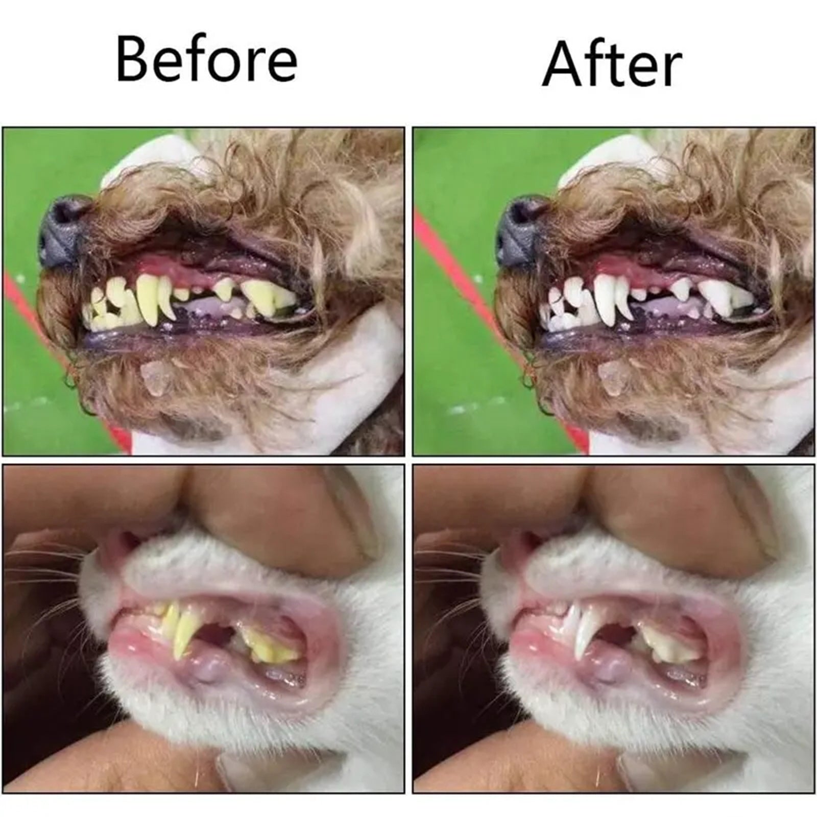 Pawfriends Pet Three-Head Multi-Angle Dog Cat Toothbrush Teeth Cleaning Oral Care - Pet Care > Dog Supplies