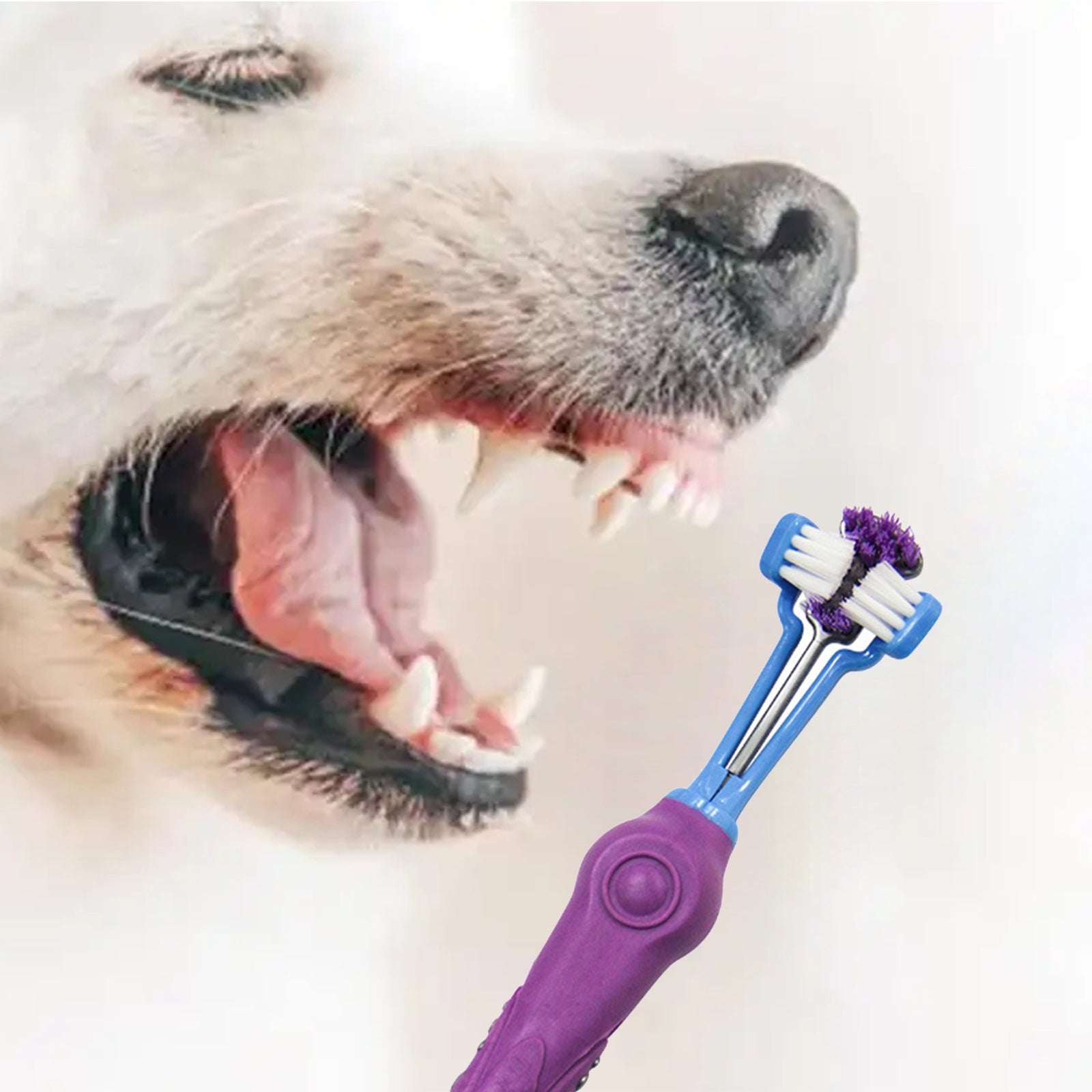 Pawfriends Pet Three-Head Multi-Angle Dog Cat Toothbrush Teeth Cleaning Oral Care - Pet Care > Dog Supplies