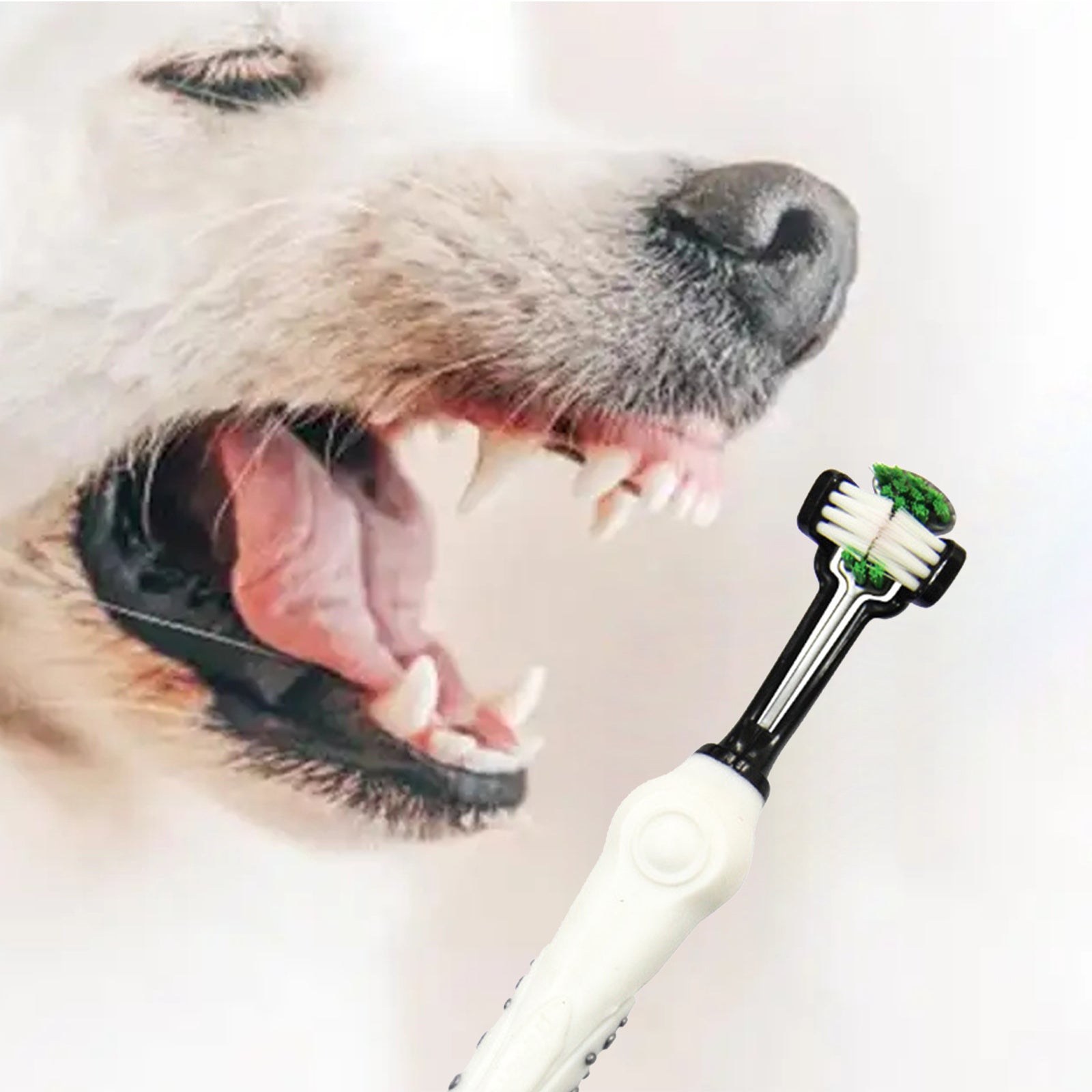 Pawfriends Pet Three-Head Multi-Angle Dog Cat Toothbrush Oral Cleaning Product White - Pet Care > Dog Supplies