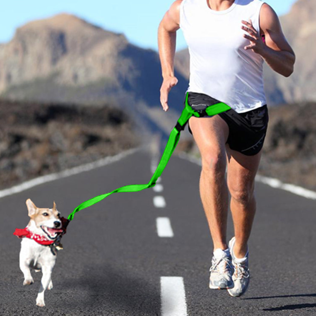 Adjustable Dog Hands Free Leash Waist Belt Buddy Jogging Walking Running Green - Pet Supplies